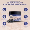shilajit-pure-himalayan-organic-natural--3.jpg