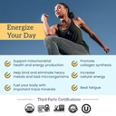organifi-shilajit-gummies-himalayan-shil-4.jpg