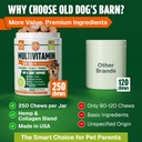 dog-vitamins-and-supplements-250-chews-2-5.jpg