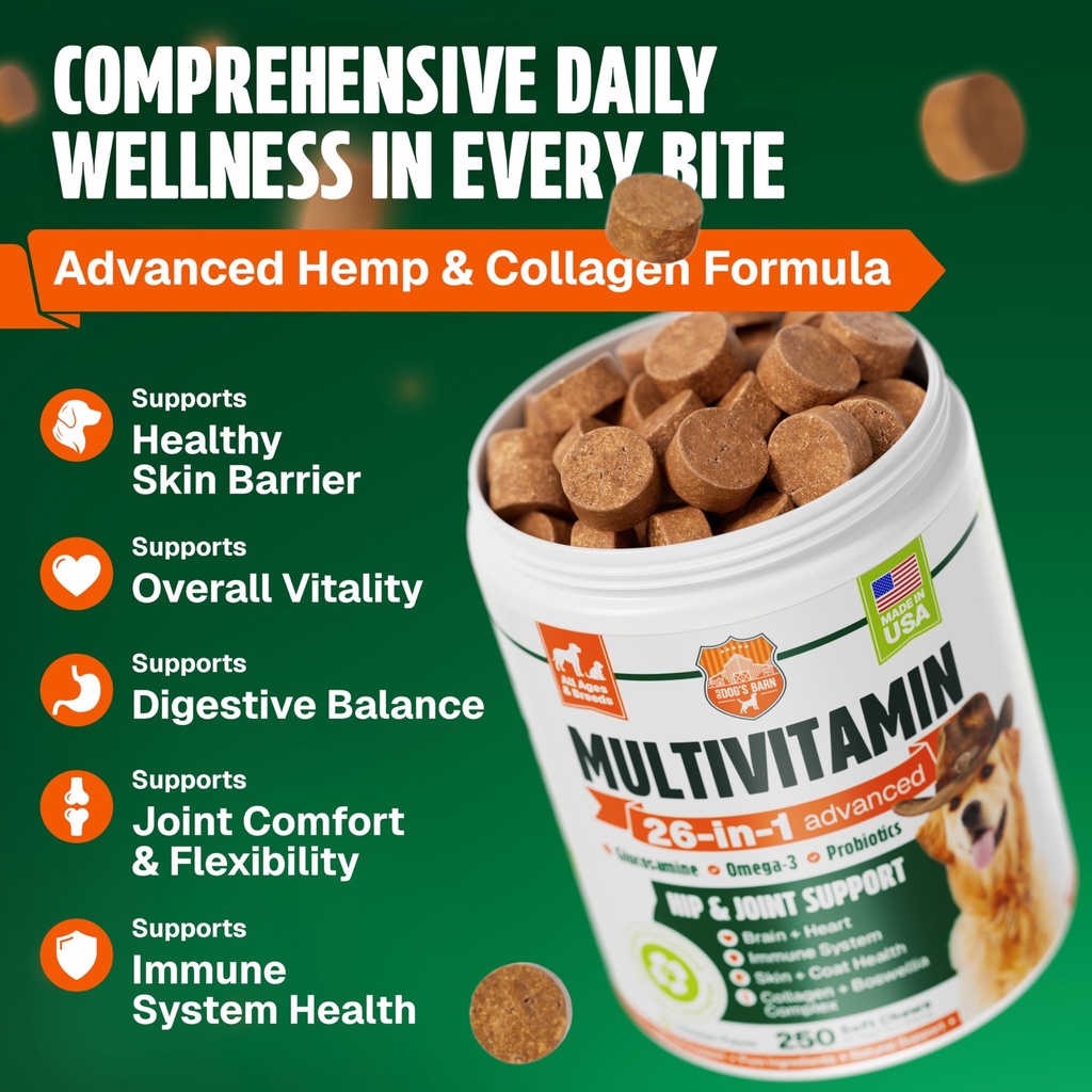 dog-vitamins-and-supplements-250-chews-2-2.jpg