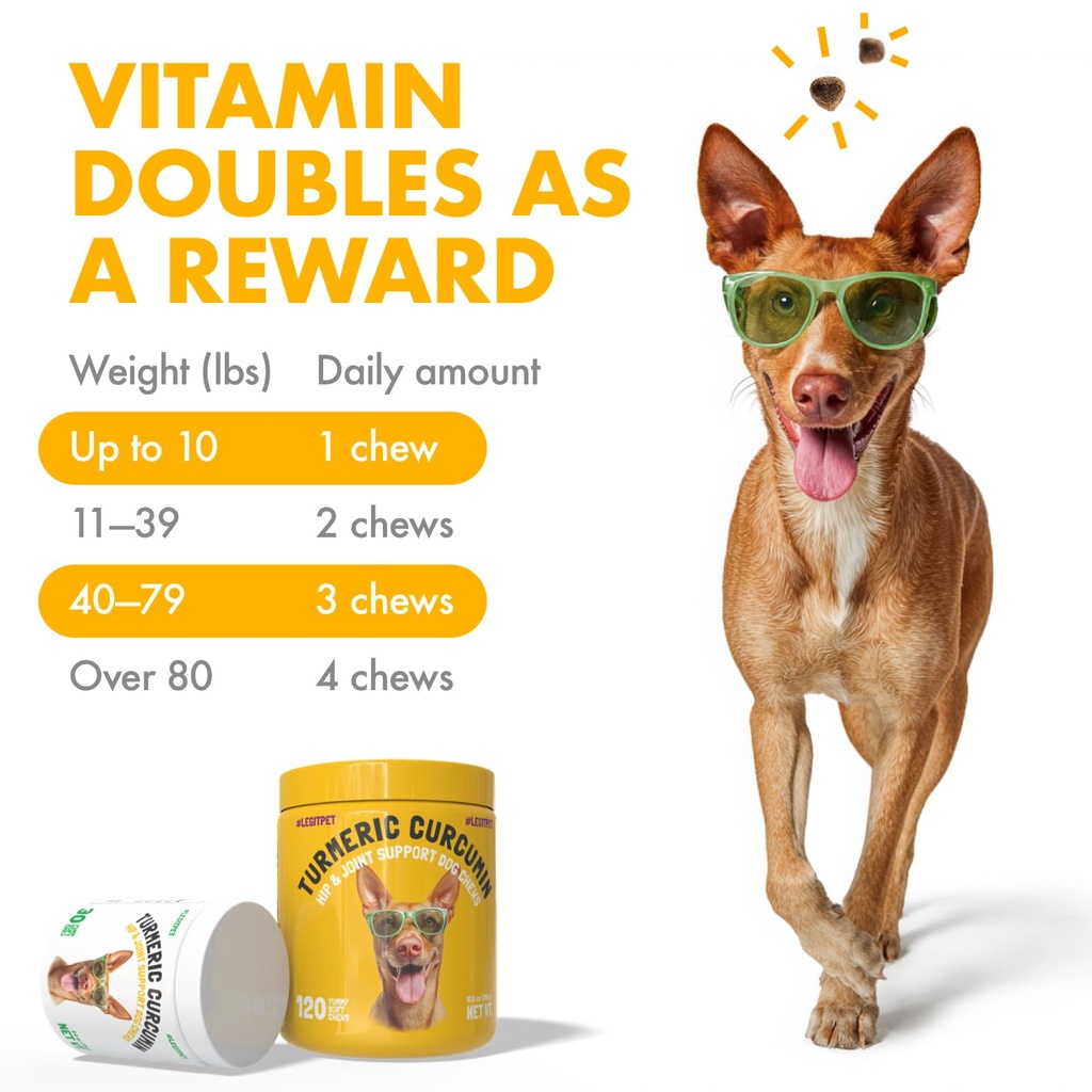 turmeric-curcumin-hip-joint-dogs-supplem-4.jpg