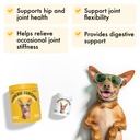 turmeric-curcumin-hip-joint-dogs-supplem-2.jpg