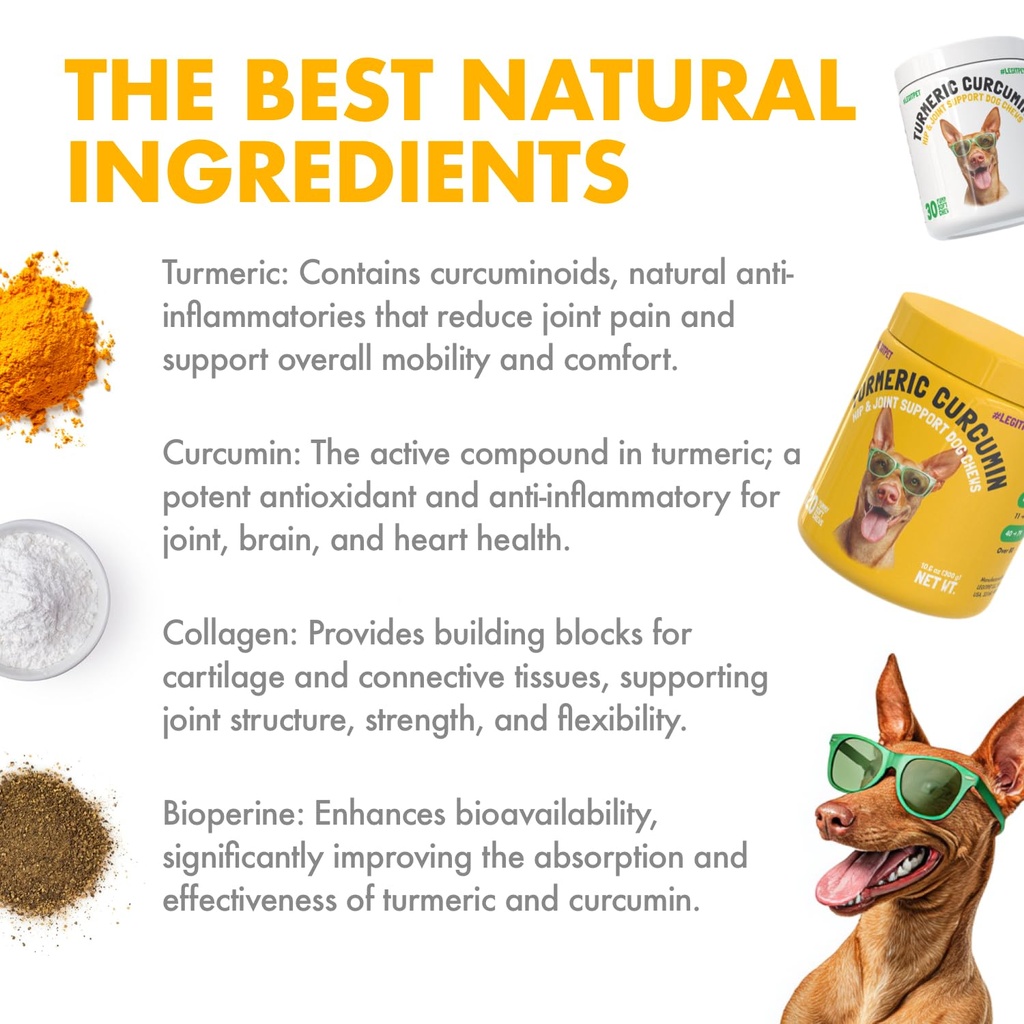 turmeric-curcumin-hip-joint-dogs-supplem-5.jpg