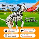 24-in-1-dog-multivitamin-with-glucosamin-4.jpg