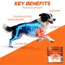 hip-and-joint-supplement-for-dogs-glucos-3.jpg