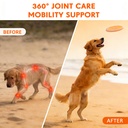 hip-and-joint-supplement-for-dogs-glucos-4.jpg