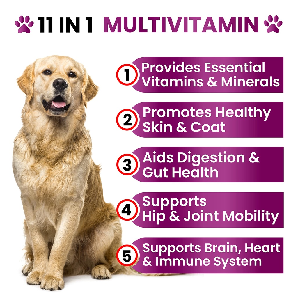 dog-multivitamin-chewable-with-glucosami-2.jpg