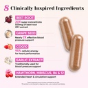 venture-pal-beet-root-capsules-for-blood-4.jpg