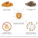 youtheory-turmeric-extra-strength-1-000--4.jpg
