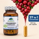 pure-mountain-botanicals-cranberry-pills-3.jpg