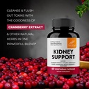 sandhu-s-kidney-cleanse-detox-repair-sup-4.jpg