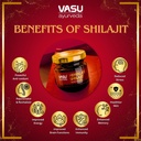 vasu-ayurveda-himalayan-shilajit-resin-4-4.jpg
