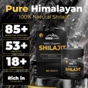 organic-shilajit-resin-with-fulvic-acid--3.jpg
