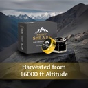 shilajit-pure-himalayan-organic-resin-90-4.jpg