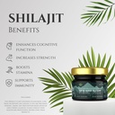 shilajit-resin-75-fulvic-acid-85-trace-m-6.jpg