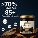 pure-shilajit-resin-0-35-fl-oz-10g-authe-2.jpg