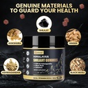 grevol-himalayan-shilajit-gummies-with-a-2.jpg