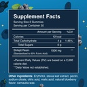shilajit-gummies-1500-mg-himalayan-shila-2.jpg