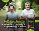 shilajit-gummies-pure-himalayan-shilajit-2.jpg