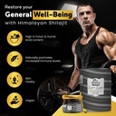 himalayan-shilajit-resin-for-men-women-7-4.jpg