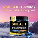 organic-shilajit-gummies-for-men-and-wom-3.jpg