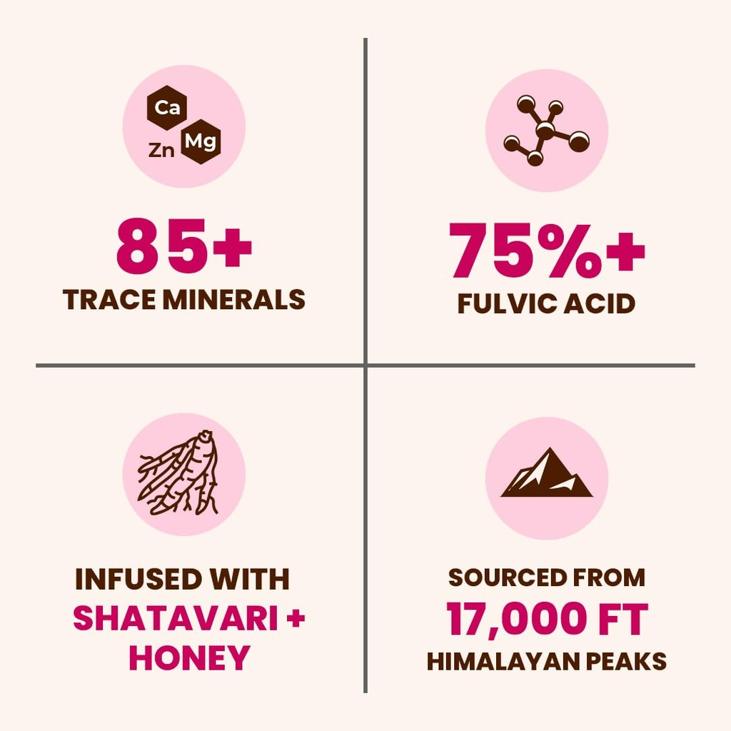 natruveda-shilajit-honey-sticks-for-wome-4.jpg