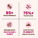natruveda-shilajit-honey-sticks-for-wome-4.jpg