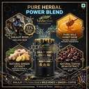 vedaplus-shilajit-honey-sticks-pro-77-fu-2.jpg
