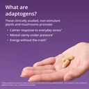 metagenics-adreset-adaptogen-formula-wit-3.jpg