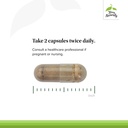 terry-naturally-liver-fractions-enduranc-4.jpg