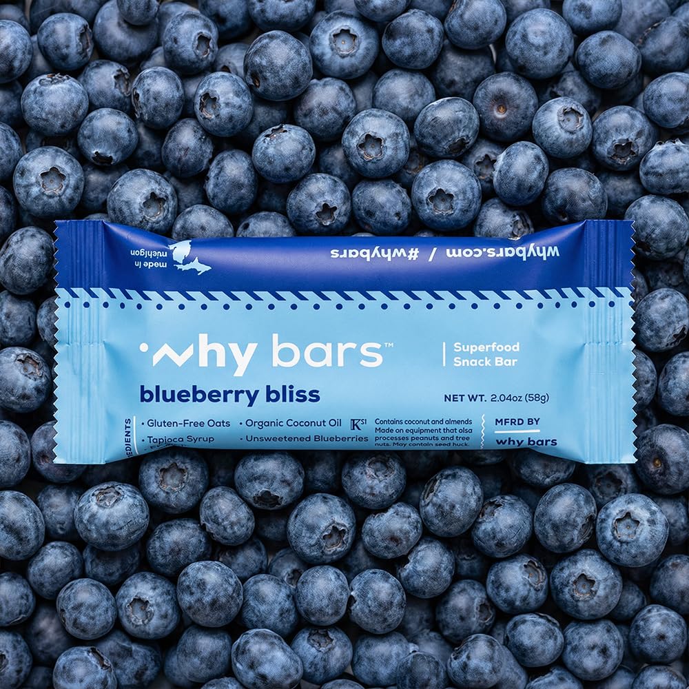 why-bars-healthy-snack-bars-blueberry-2--3.jpg