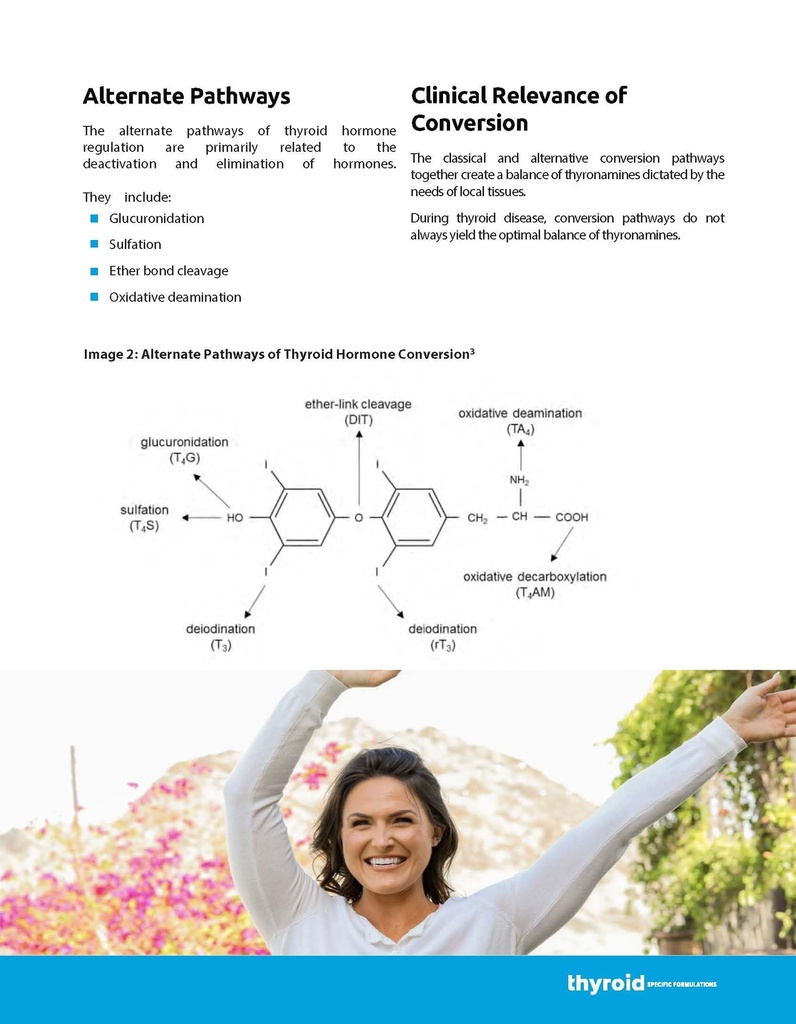 t2-t3-conversion-booster-thyroid-hormone-4.jpg