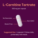 bestvite-l-carnitine-tartrate-500mg-per--5.jpg