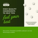 swanson-glucosamine-chondroitin-msm-cart-5.jpg