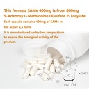 7c-sam-e-400mg-supplement-s-adenosylmeth-5.jpg