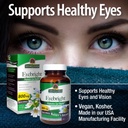nature-s-answer-eyebright-herb-90-count-4.jpg