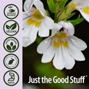 nature-s-answer-eyebright-herb-90-count-5.jpg