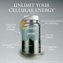 solaray-nadh-10-mg-active-form-of-niacin-3.jpg