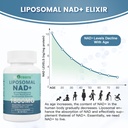 ingreens-liposomal-nad-supplement-1800-m-3.jpg