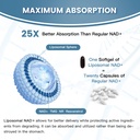 ingreens-liposomal-nad-supplement-1800-m-4.jpg