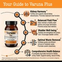 varuna-plus-supplement-kidney-bladder-su-4.jpg