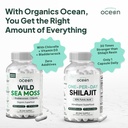 organics-ocean-wild-sea-moss-capsules-an-4.jpg