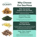 organics-ocean-wild-sea-moss-capsules-an-6.jpg