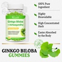 ginkgo-biloba-gummies-240mg-with-panax-g-6.jpg