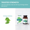 himalaya-ginkgo-biloba-capsules-120mg-gi-6.jpg
