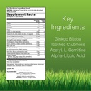 irwin-naturals-ginkgo-smart-maximum-focu-2.jpg