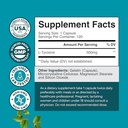 bundle-of-nootropic-memory-supplement-an-3.jpg