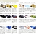 shokado-purple-ginkgo-biloba-set-of-5-9--5.jpg