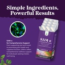 bundle-of-nootropic-memory-supplement-fo-5.jpg
