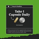 bundle-of-nootropic-memory-supplement-fo-6.jpg